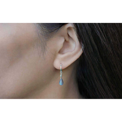 Cambree Interchangeable Labradorite Drop Hoop Earrings & Sterling Silver